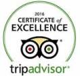 Trip Advisor logo